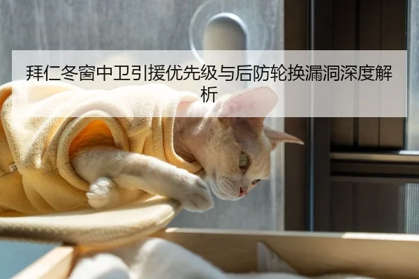 拜仁冬窗中卫引援优先级与后防轮换漏洞深度解析