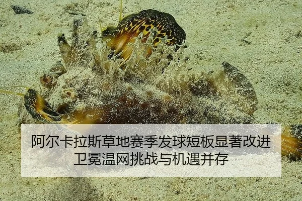 阿尔卡拉斯草地赛季发球短板显著改进 卫冕温网挑战与机遇并存