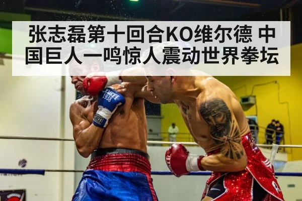 张志磊第十回合KO维尔德 中国巨人一鸣惊人震动世界拳坛